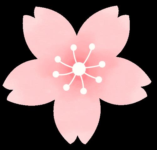 DƬ